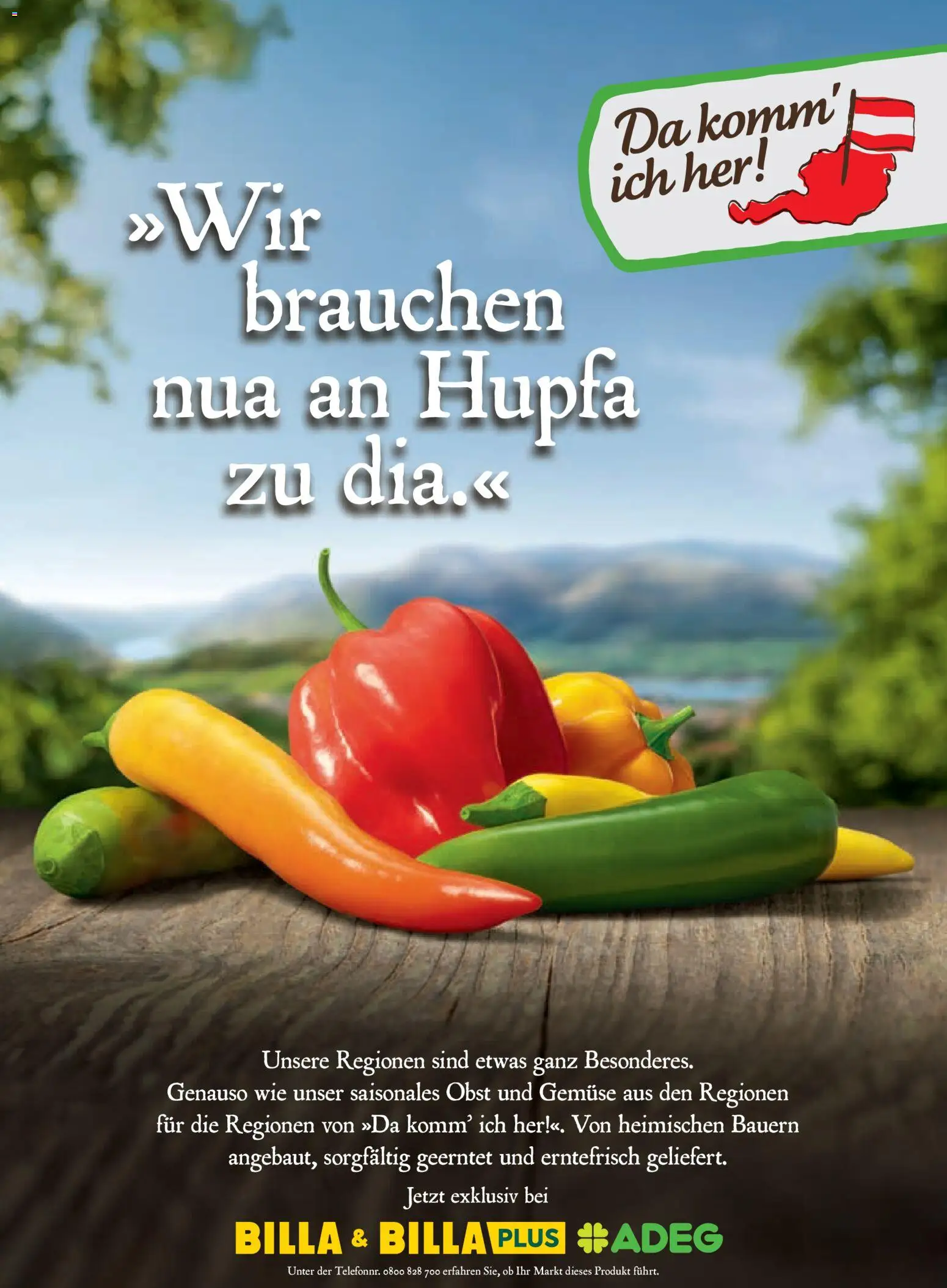 Billa Frisch Gekocht gültig ab 01.05.2026 | Seite: 76 | Produkte: Gemüse, Obst