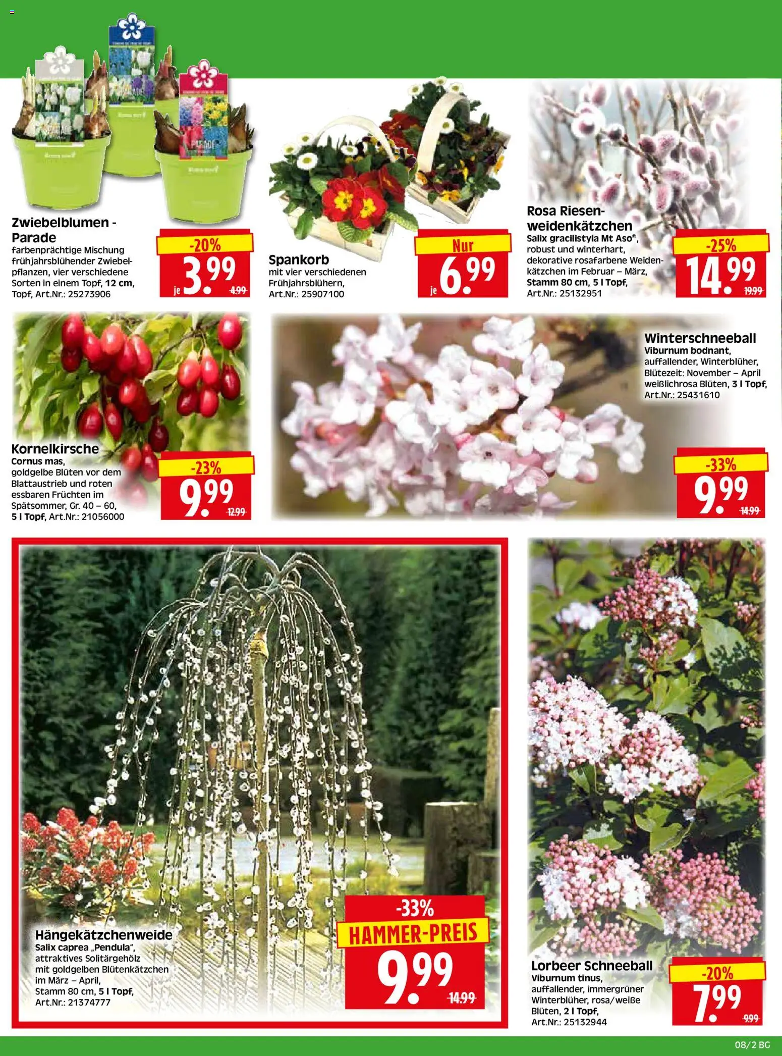 HERKULES - Bau & Garten – gültig ab 16.02.2026 | Seite: 2