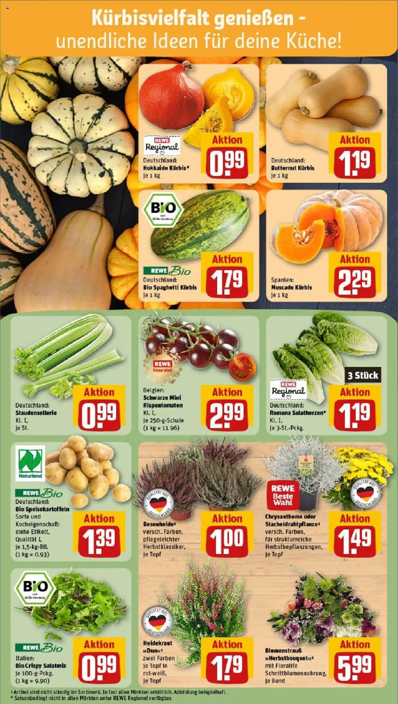 Rewe prospekt Rostock / Südstadt	 – gültig ab 06.10.2025 | Seite: 7 | Produkte: Küche, Kürbis