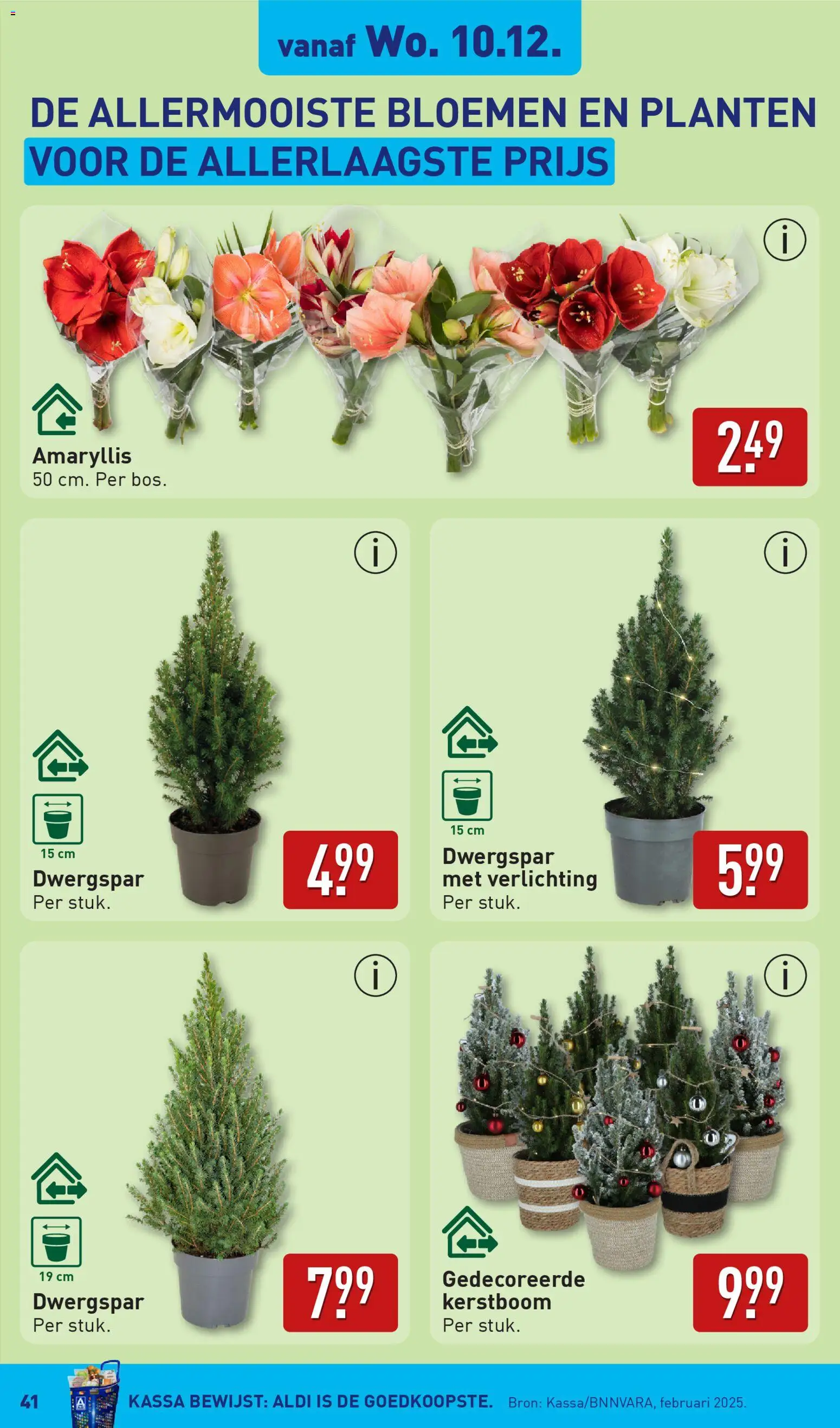 {H1} | Pagina: 41 | Producten: Bloemen, Verlichting