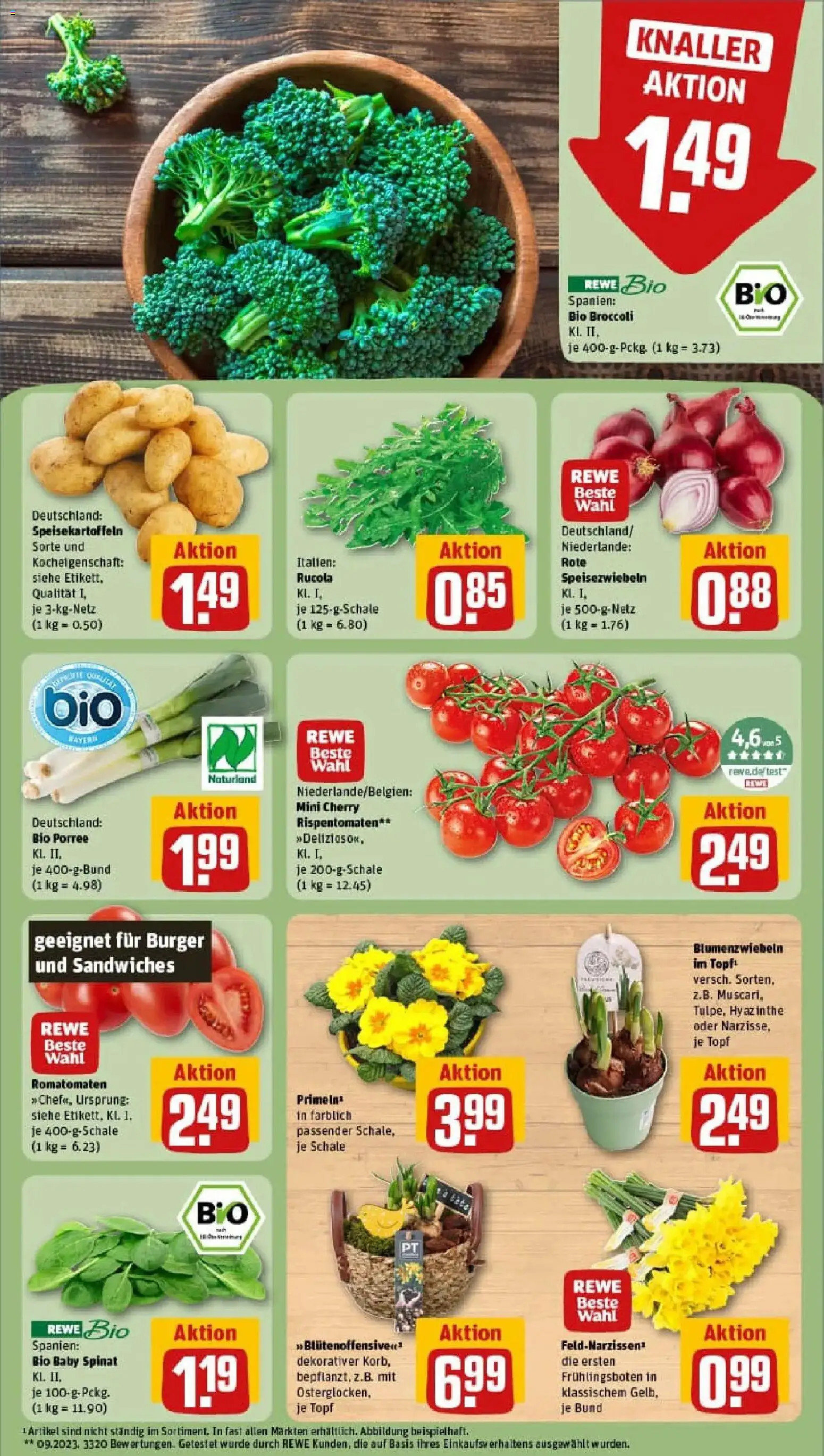 Rewe prospekt Münchberg	 – gültig ab 26.01.2026 | Seite: 7 | Produkte: Rucola, Burger