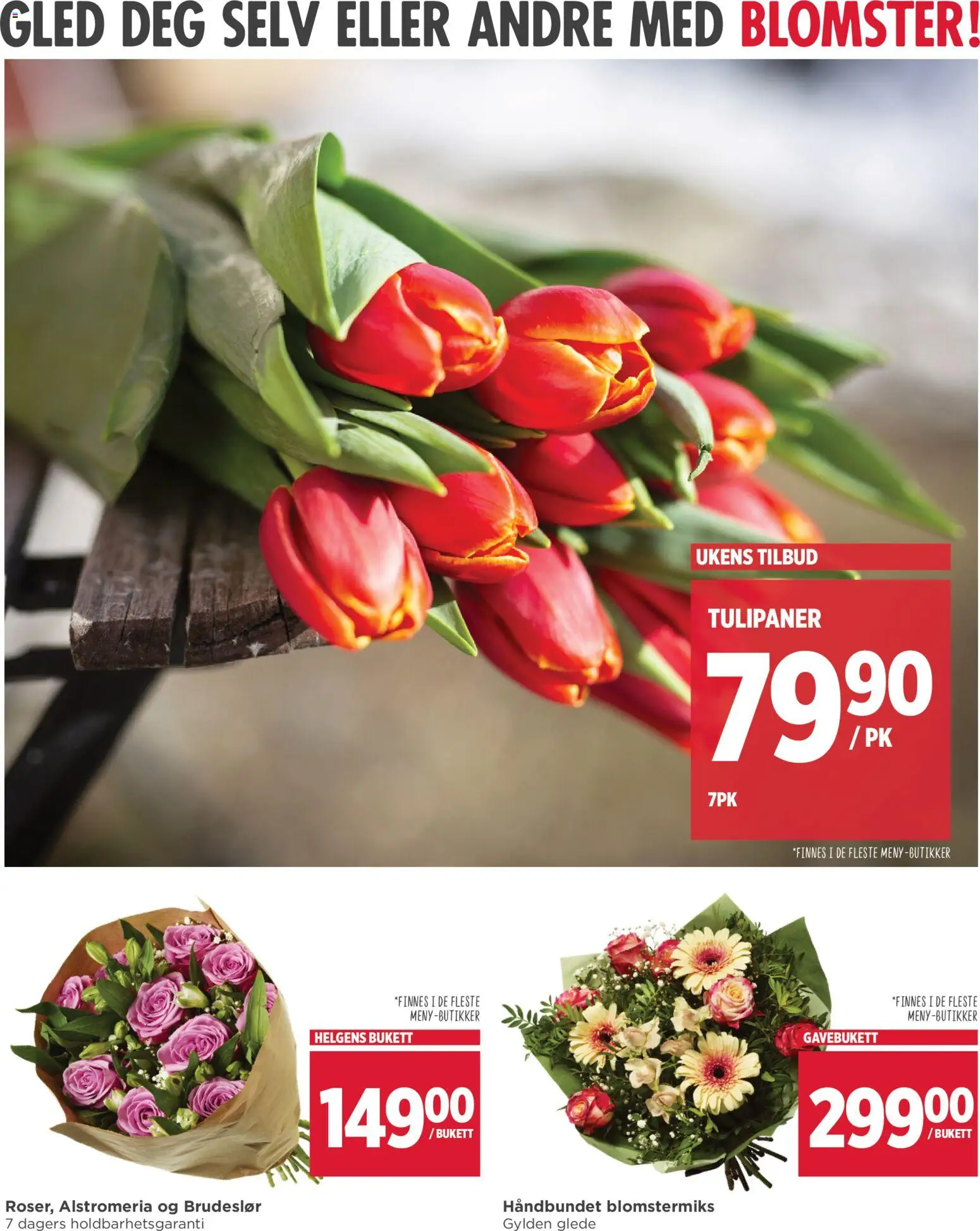 {H1} | Side: 11 | Produkter: Fyldt pasta, Cremă pentru față