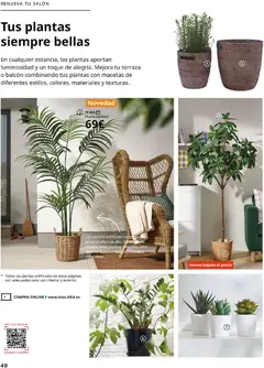 Vista previa Catálogo IKEA Accesorios y decoración válido desde el 01.02.2026 | Página: 40 | Productos: Planta artificial