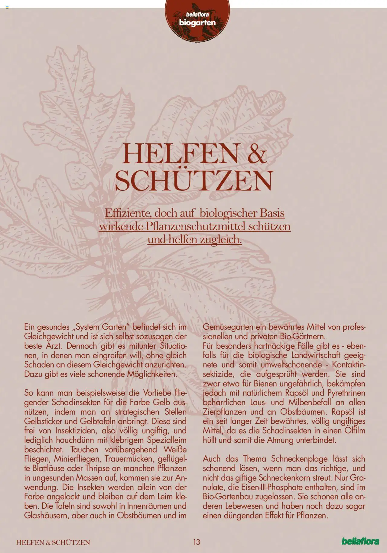 bellaflora Flugblatt gültig ab 24.06.2022 | Seite: 13