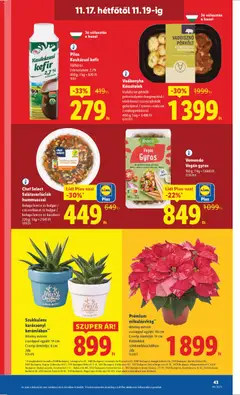 Vemondo Vegán gyros, Vegán gyros 150 g - amely érvényes a következő dátumtól: 13.11.2025 | Oldal: 43 | Termékek: Lencse, Kaukázusi kefír, Vegán, Saláta