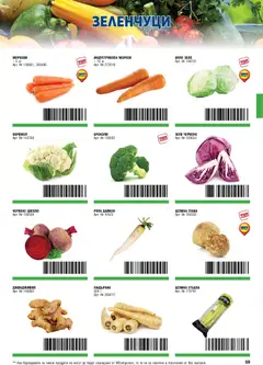 Преглед на METRO брошура - ХоРеКа: Хранителни стоки - Офертите са валидни от 01.11.2025 | Страница: 59 | Продукти: Броколи, Зеле, Бяло зеле, Пащърнак