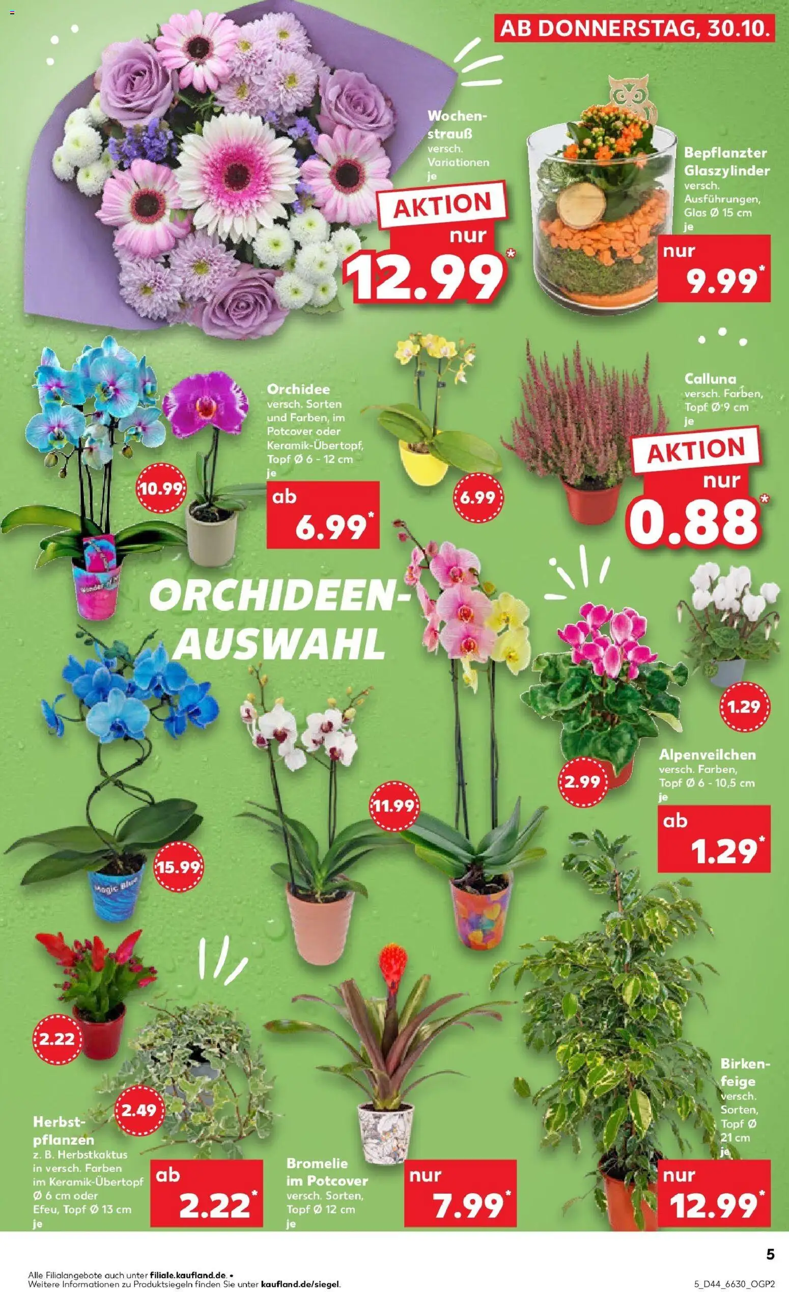 Kaufland prospekt Siegen	 – gültig ab 30.10.2025 | Seite: 5 | Produkte: Orchidee