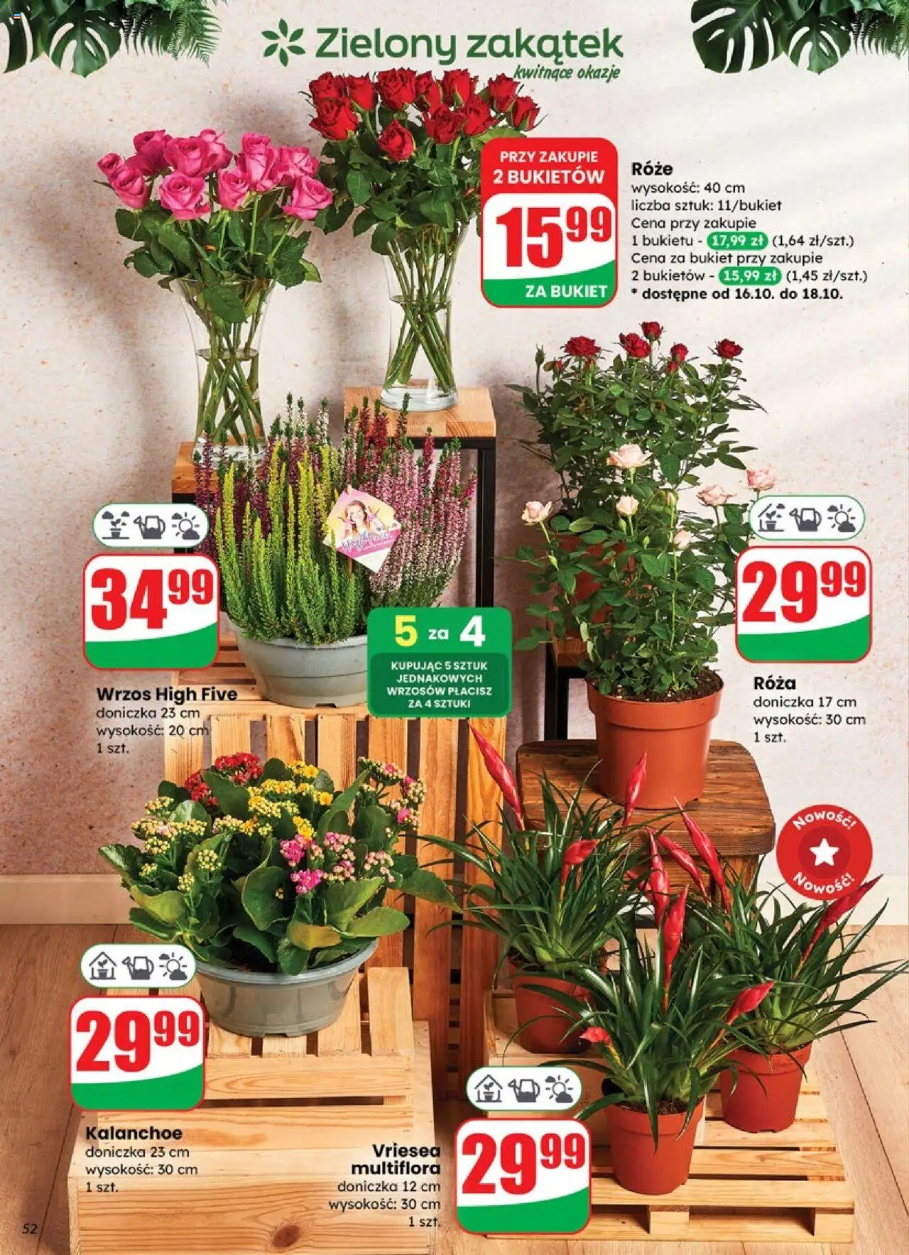 Dino Gazetka od 15.10.2025 | Strona: 52 | Produkty: Wrzos, Doniczka, Kalanchoe