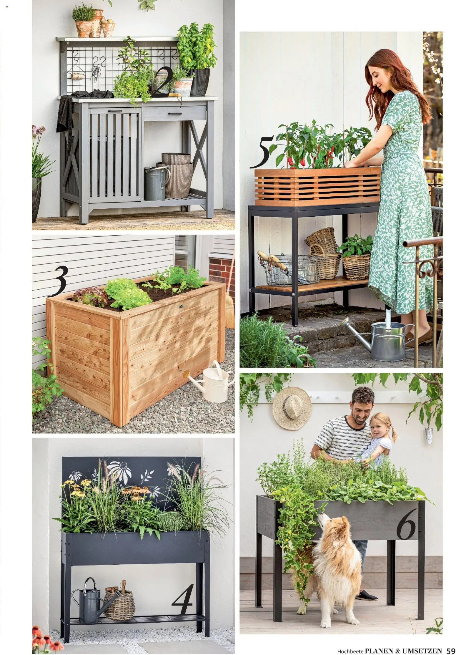 Dehner Prospekt 	 – gültig ab 17.04.2026 | Seite: 59