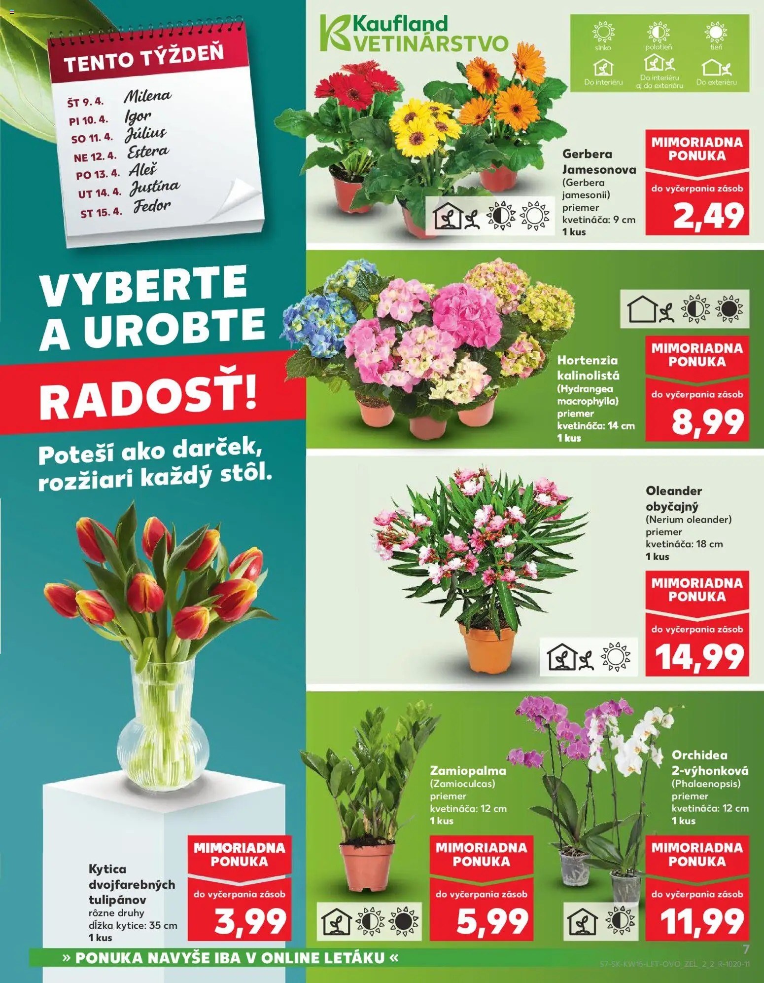 Nové Kaufland akcie – leták je platný od 09.04.2026 | Strana: 7 | Produkty: Orchidea