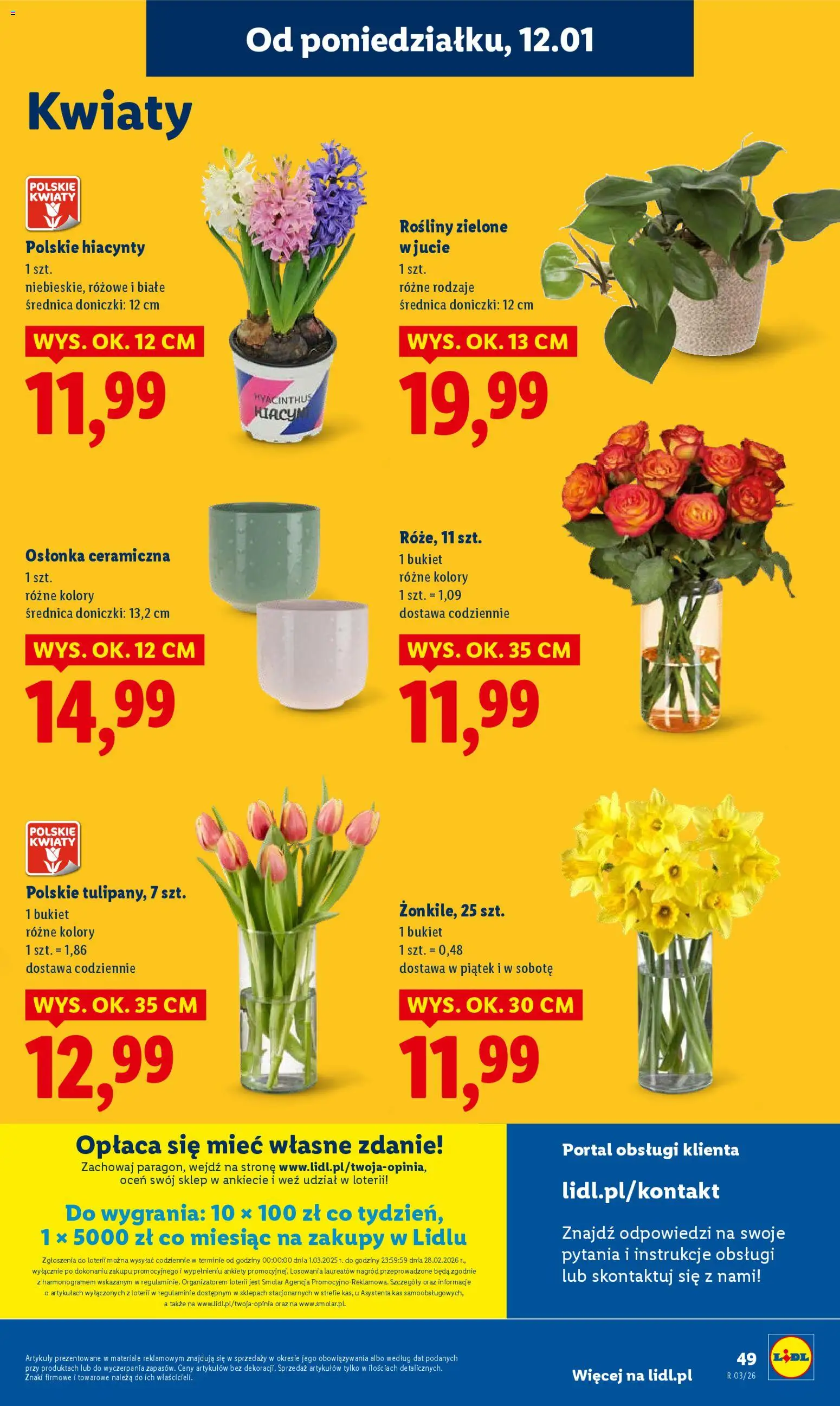Lidl Gazetka od 12.01.2026 | Strona: 49 | Produkty: Rosliny, Doniczki, Kwiaty