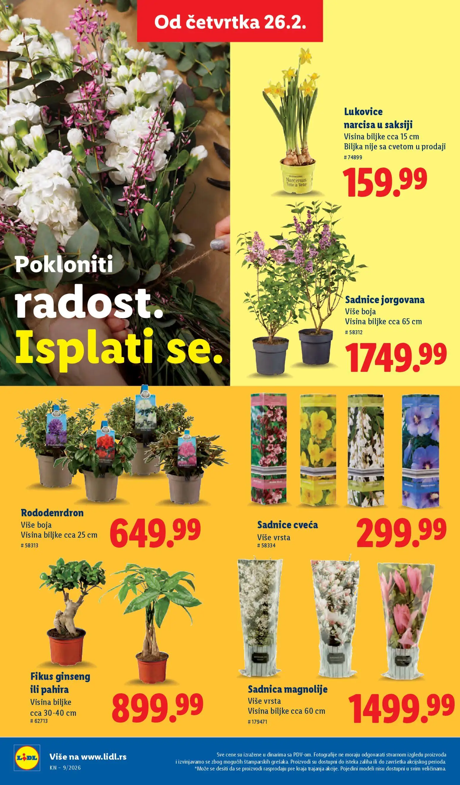 Lidl katalog - važi od 26.02.2026 | Strana: 72 | Proizvode: Parkside