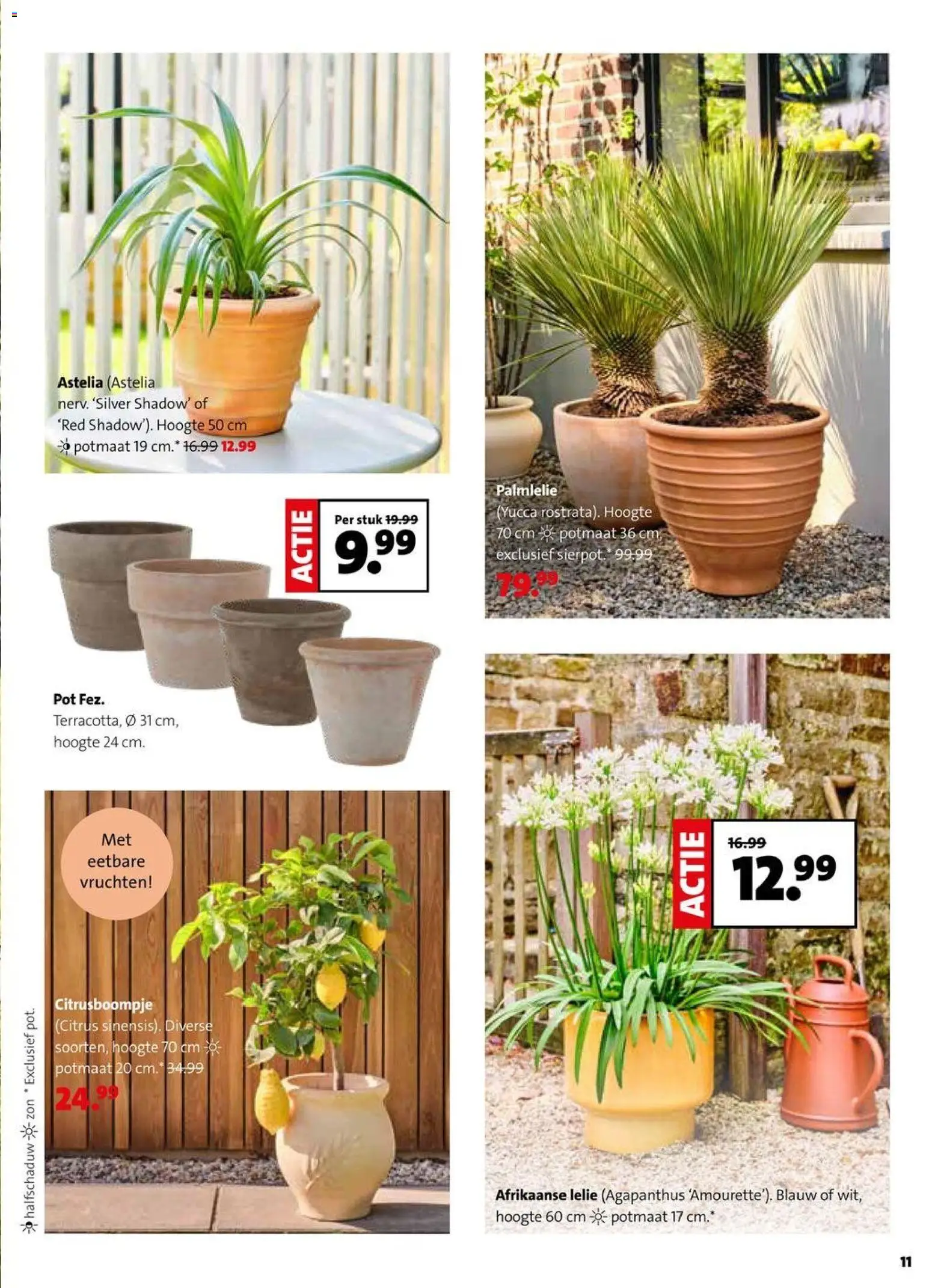 {H1} | Pagina: 11 | Producten: Pot