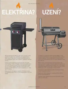 Náhled letáku HORNBACH leták - Magazín o grilování od 01.01.2026 | Strana: 11 | Produkty: Dřevěné uhlí, Kouřové aroma, Gril, Maso