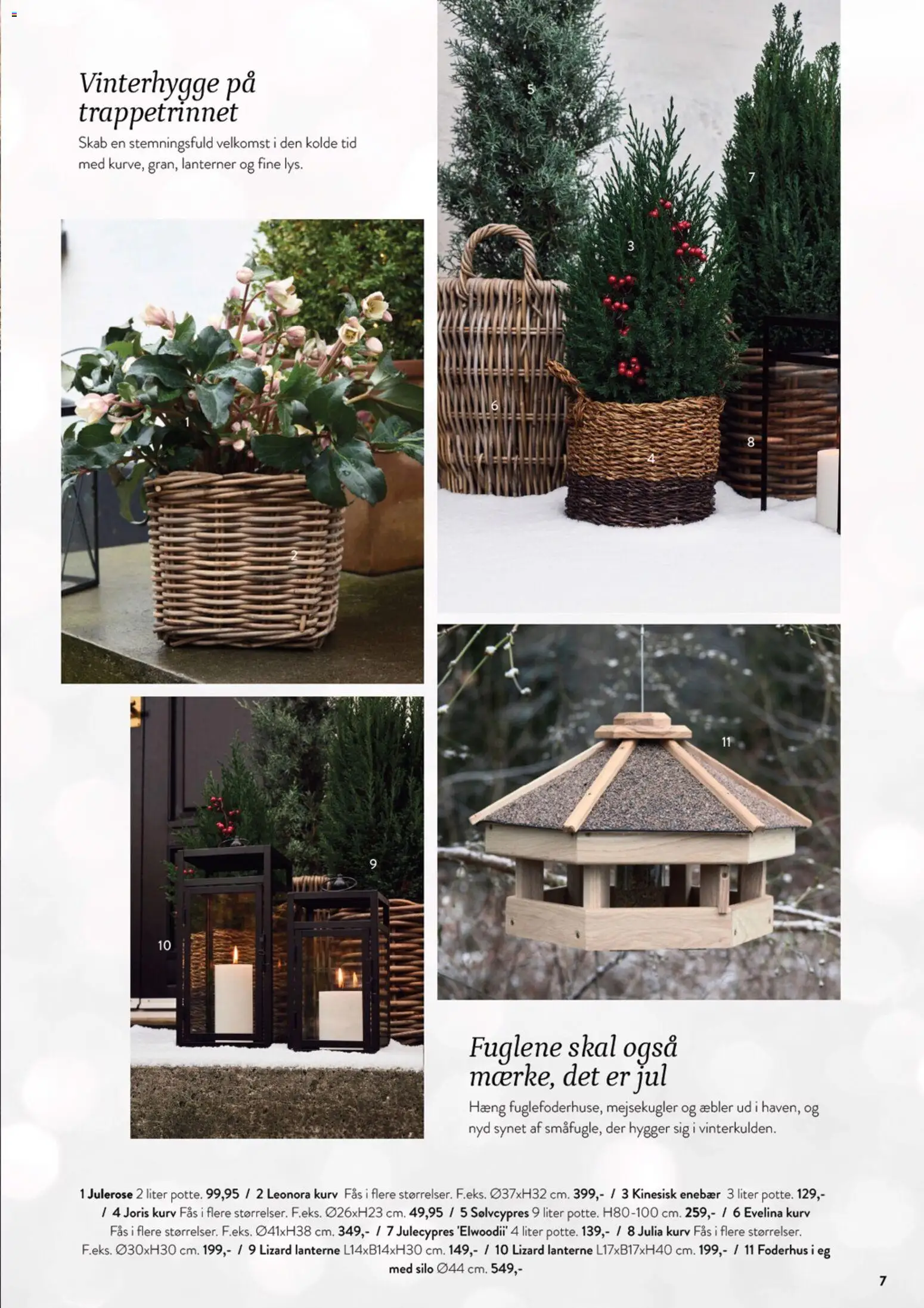 Plantorama tilbudsavis – gyldig fra 23.11.2025 | Side: 8 | Produkter: Æbler, Skab, Kurv