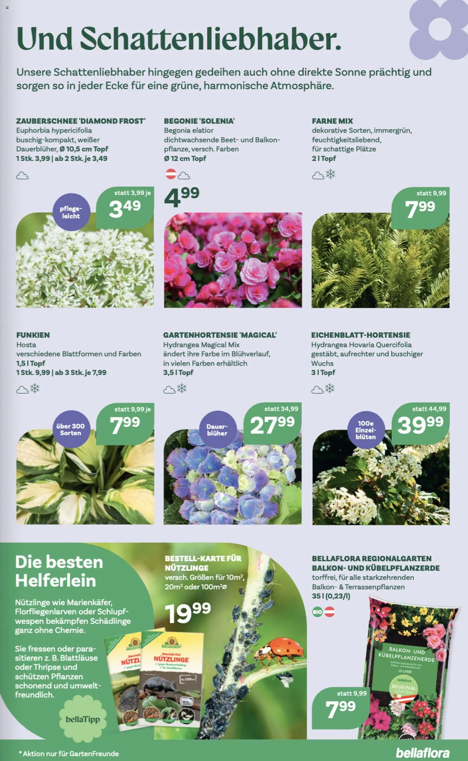 bellaflora Flugblatt gültig ab 23.04.2026 | Seite: 7