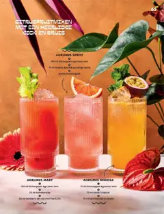 Albert Heijn - NoLow Magazine 2025 - Voorbeeld van een folder van Albert Heijn, geldig van 28.04.2025 | Pagina: 65 | Producten: Gin, Alcohol