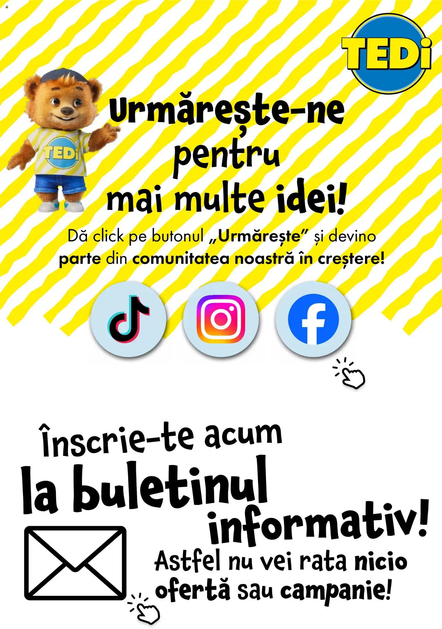 Noul catalog TEDi – valabil de la 13.03.2026 | Pagină: 33 | Produse: Rață