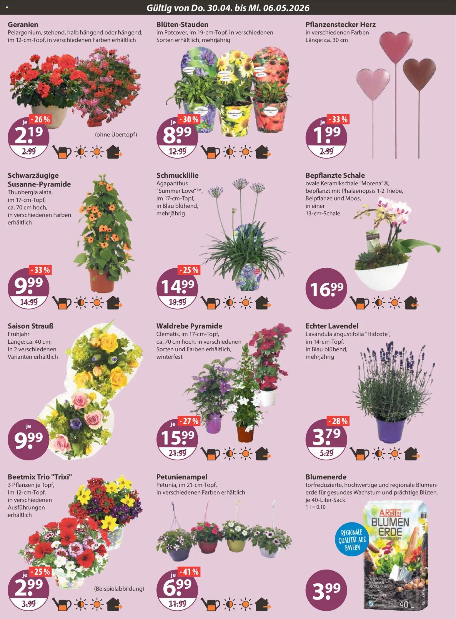 V-Markt Schwaben / Oberbayern – gültig ab 30.04.2026 | Seite: 16 | Produkte: Blumen, Geranien, Blumenerde, Lavendel