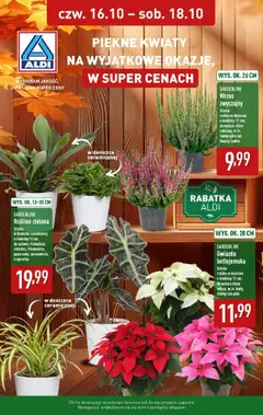 Pogląd oferty "Aldi Gazetka - Piękne kwiaty" - ważna od 16.10.2025