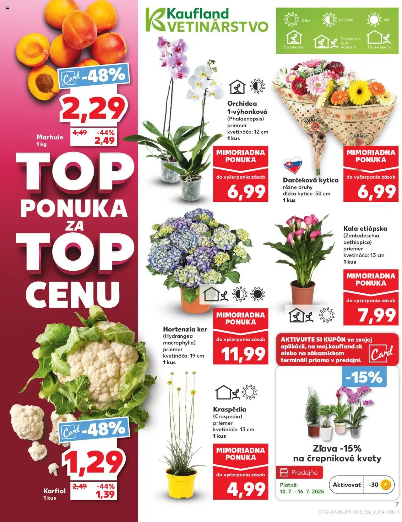 Kaufland Partizánske │ platný od 10.07.2025 | Strana: 7 | Produkty: Karfiol, Kvety, Orchidea, Marhule