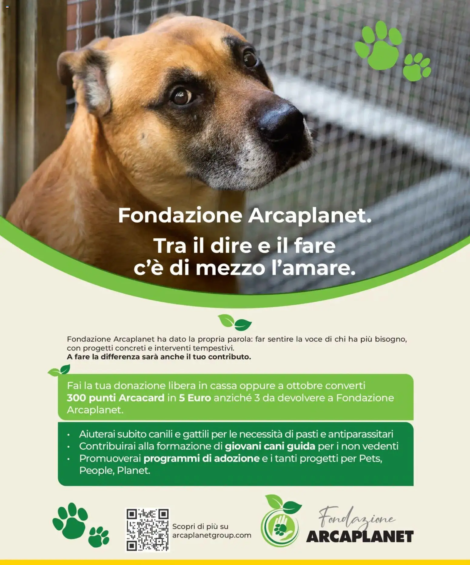 Volantino Arcaplanet del 03.11.2025 | Pagina: 39