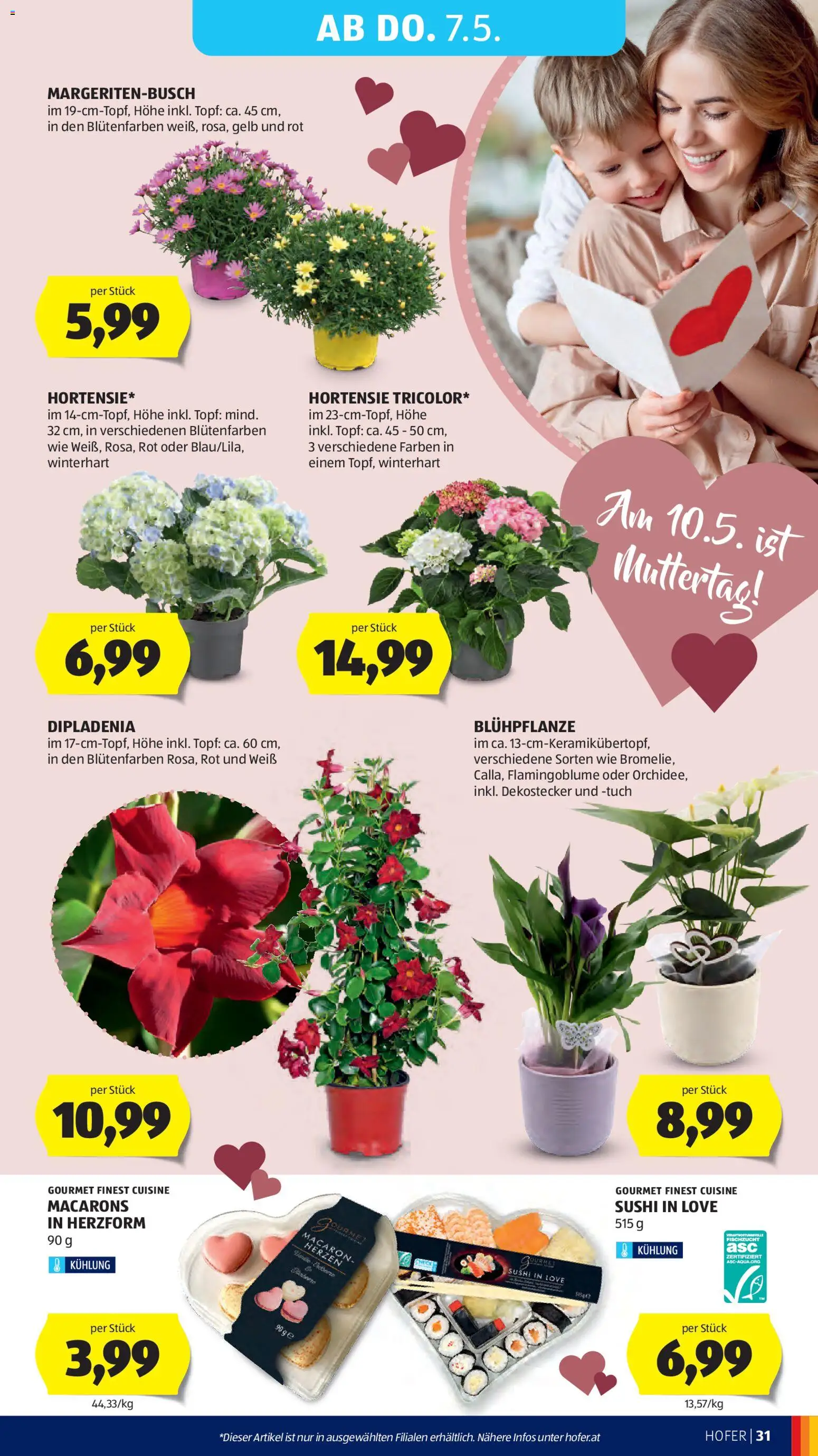 Hofer Flugblatt gültig ab 29.04.2026 | Seite: 37