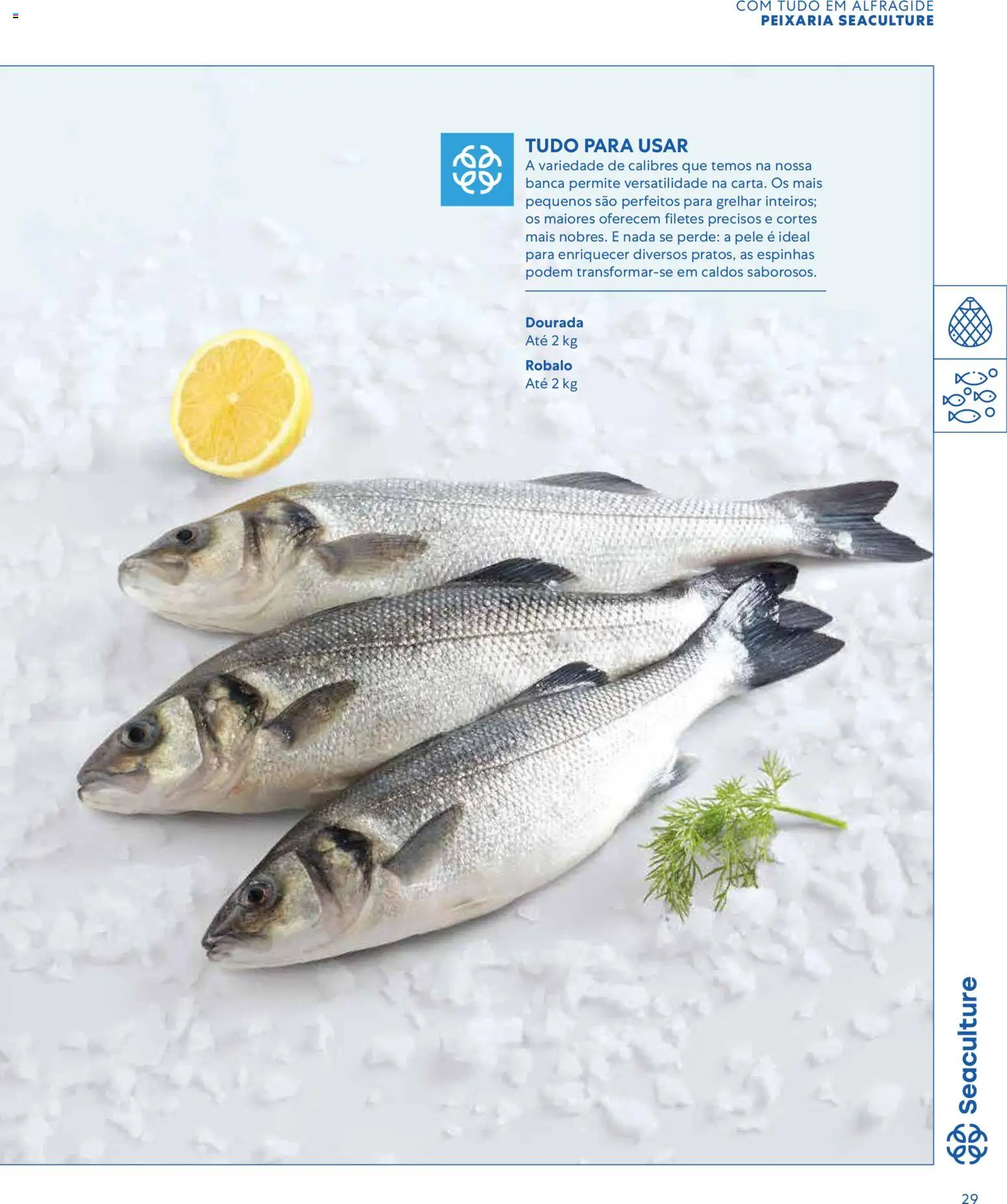 Recheio - Catálogo de Alfragide │ válido de 16.03.2026 | Página: 29 | Produtos: Dourada