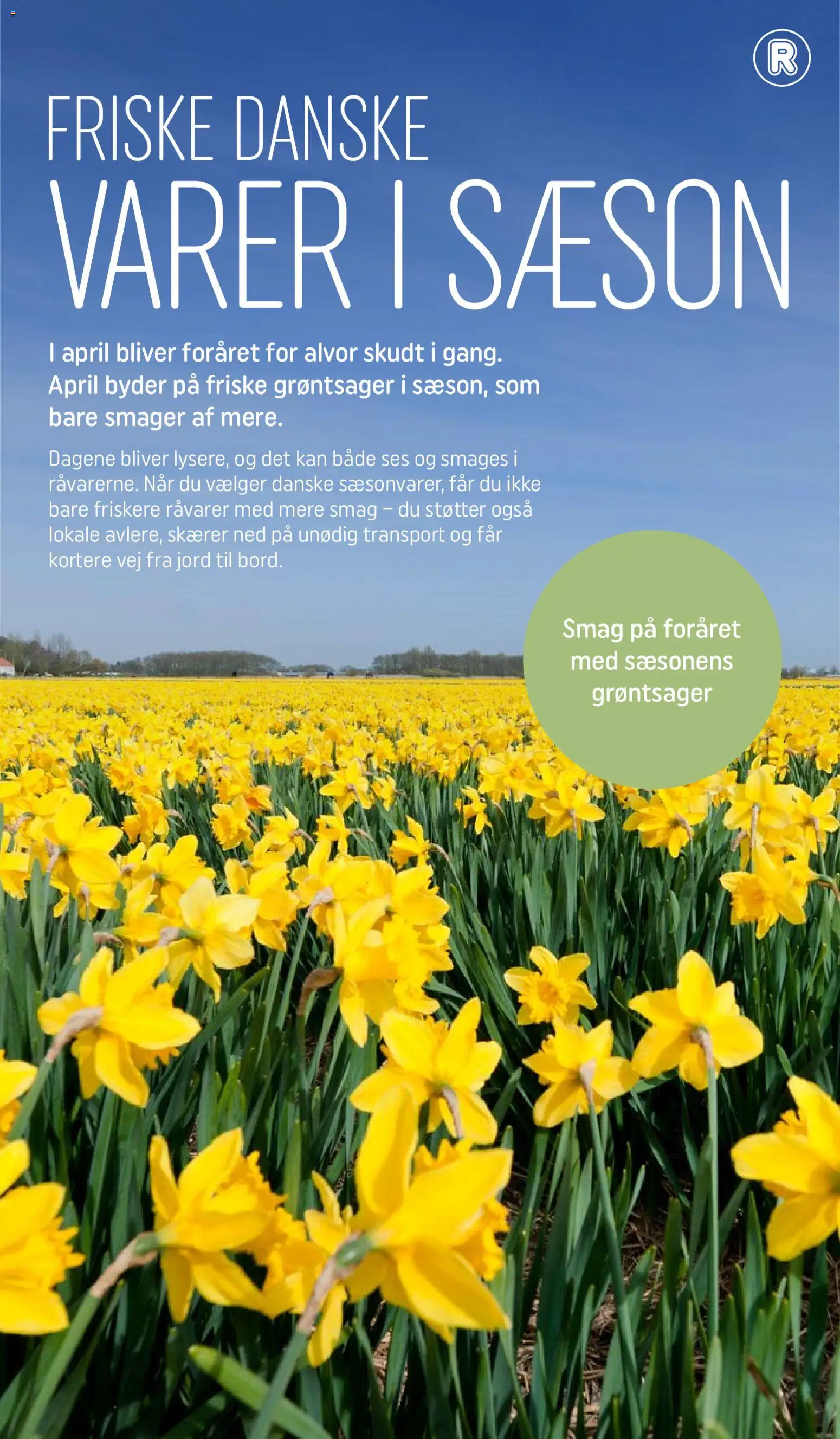 Rema 1000 tilbudsavis – gyldig fra 31.03.2026 | Side: 2 | Produkter: Skærer, Søm