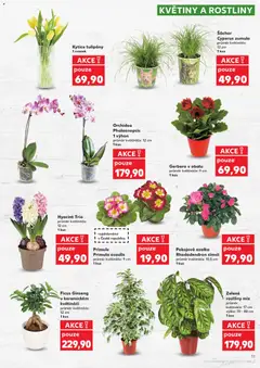 Náhled letáku Kaufland leták od 14.01.2026 | Strana: 11