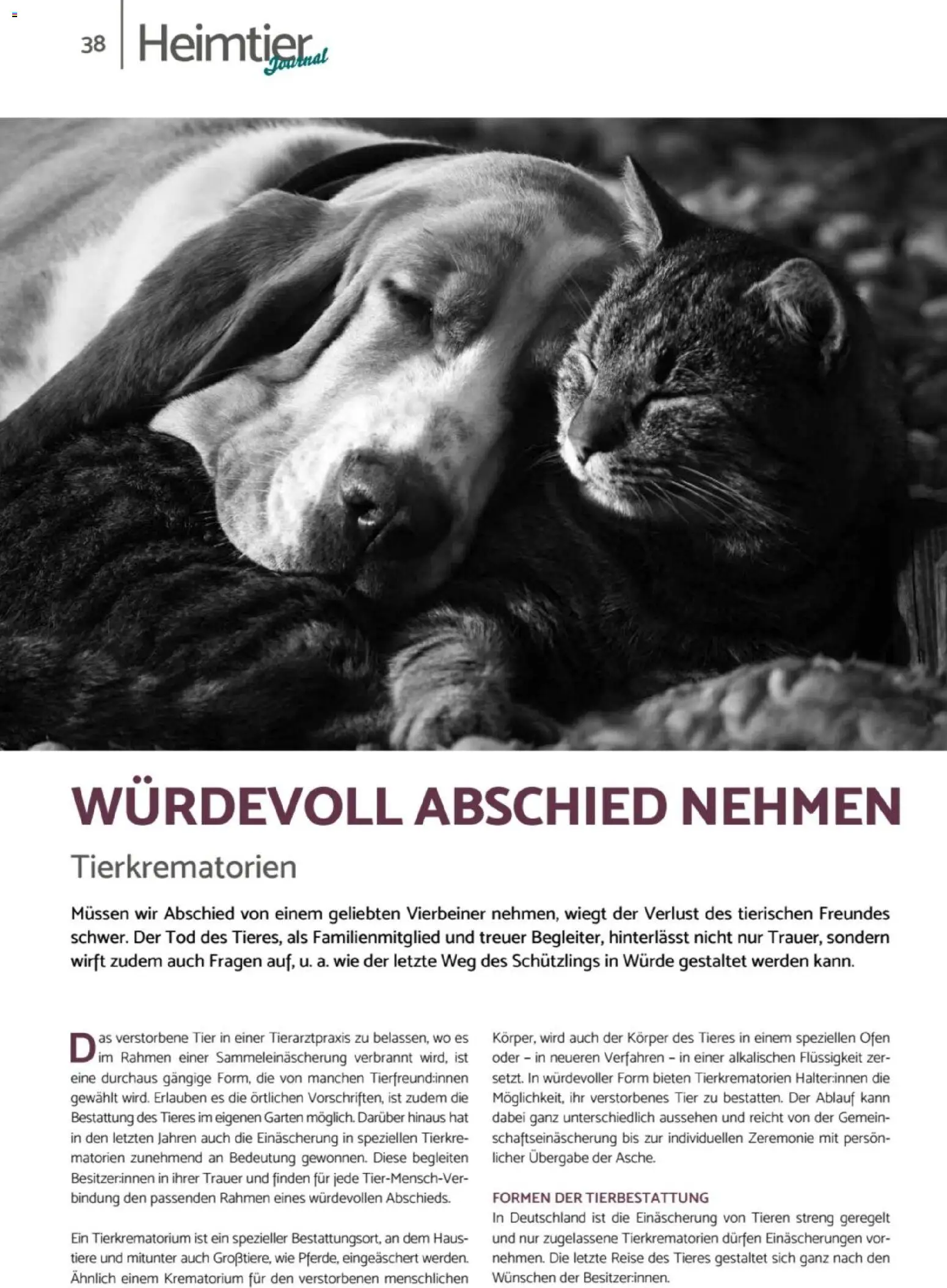 zookauf - Heimtier Journal – gültig ab 01.12.2025 | Seite: 38 | Produkte: Ofen