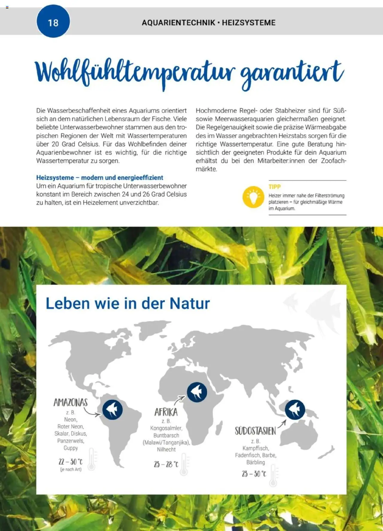 zookauf Themenkatalog Aquaristik – gültig ab 01.10.2025 | Seite: 18 | Produkte: Wasser