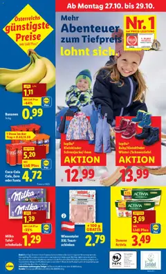 Lidl Flugblatt - Oberpullendorf, Güssing, Oberwart ab 23.10.2025 gültig | Seite: 46