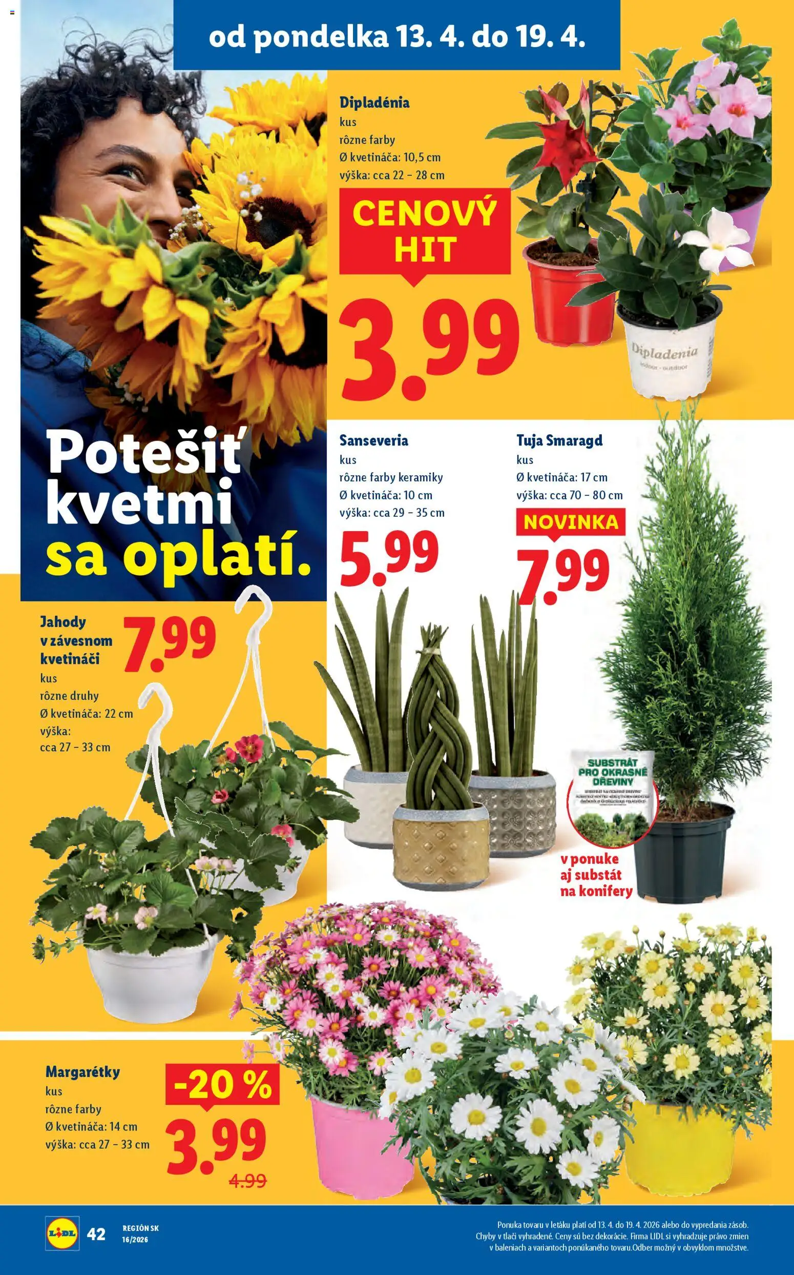 Nové Lidl akcie – leták je platný od 13.04.2026 | Strana: 50 | Produkty: Jahody, Substrát