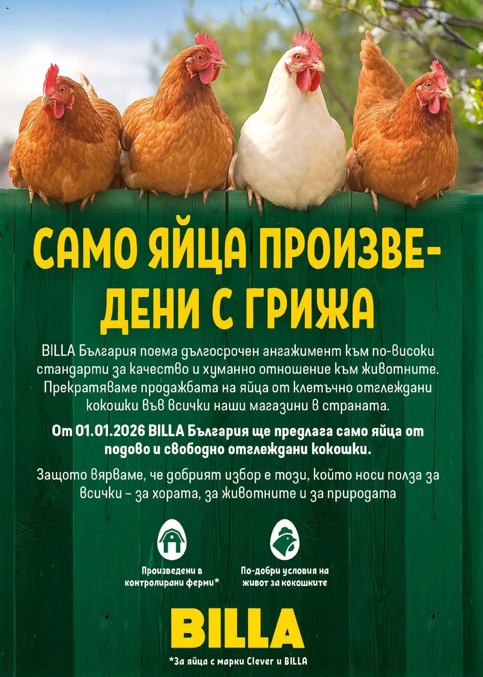 {H1} | Страница: 18 | Продукти: Яйца