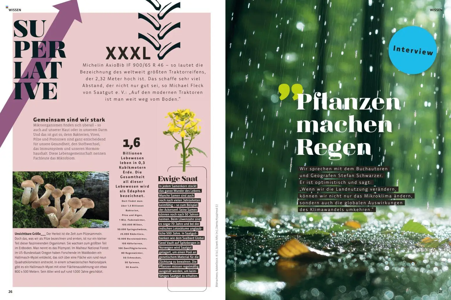 Denns BioMarkt  KREO Magazin gültig ab 21.10.2025 | Seite: 14