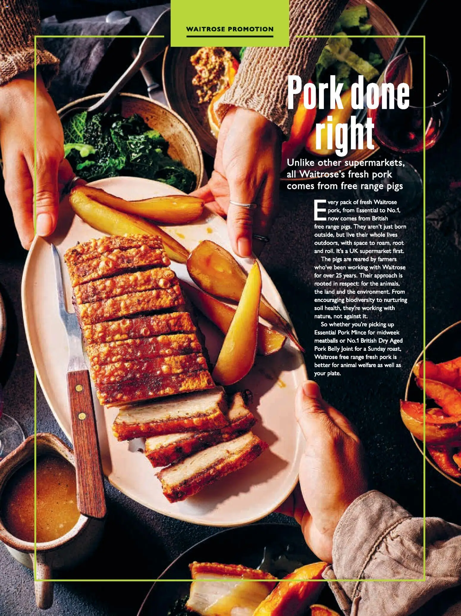 {H1} | Page: 119 | Products: Pork