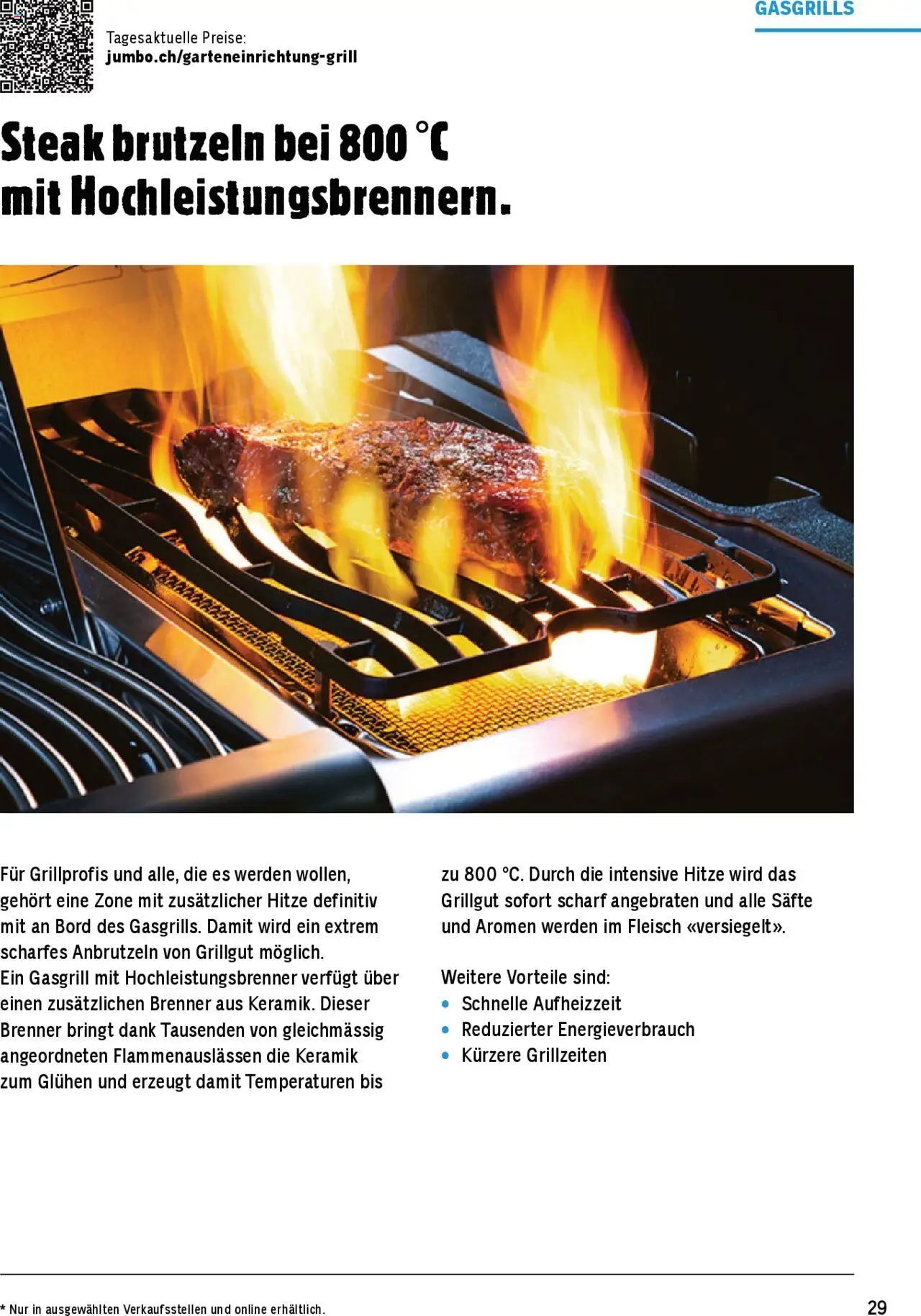 Jumbo Aktionen Grosse Grillbroschüre 2025 ab 21.02.2025 | Seite: 29