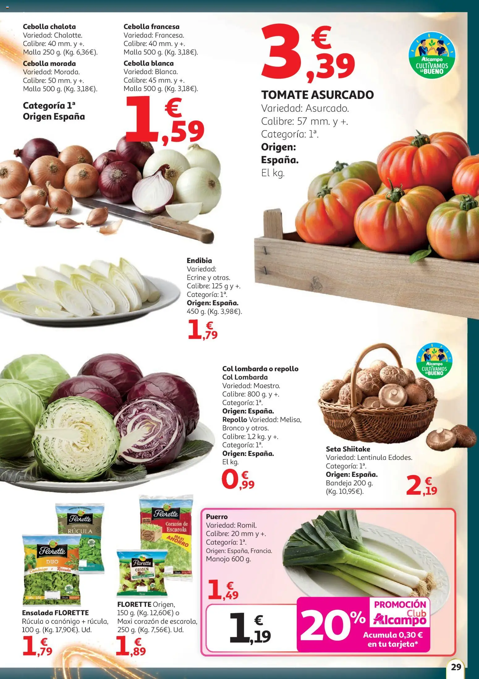 Alcampo - HG catalan │ válido desde el 11.12.2025 | Página: 29 | Productos: Σφουγγαρίστρα, Ensalada, Παγωμένο τσάι, Bandeja