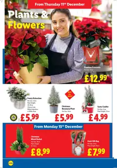 Preview of Lidl - More to Value! valid from 11.12.2025 | Page: 32 | Products: Basket, Pot, Plant pot, Bag