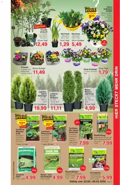 Wiglo Wunderland Prospekt ab 23.02.2026 gültig | Seite: 5