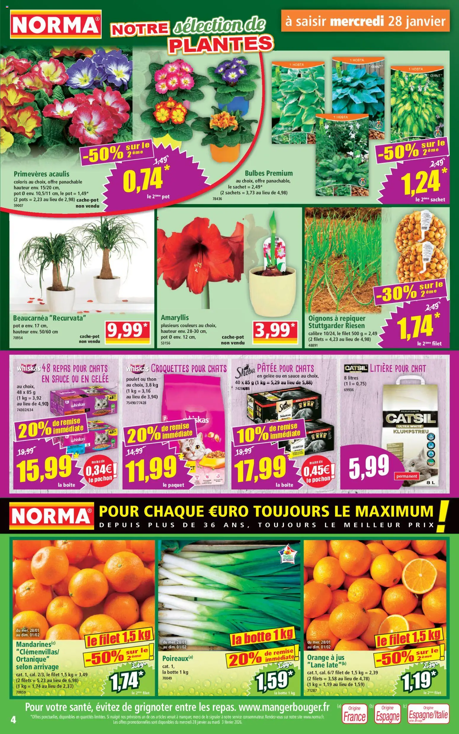 {H1} | Page: 4 | Produits: Orange, Litière pour chat, Litière, Oignons