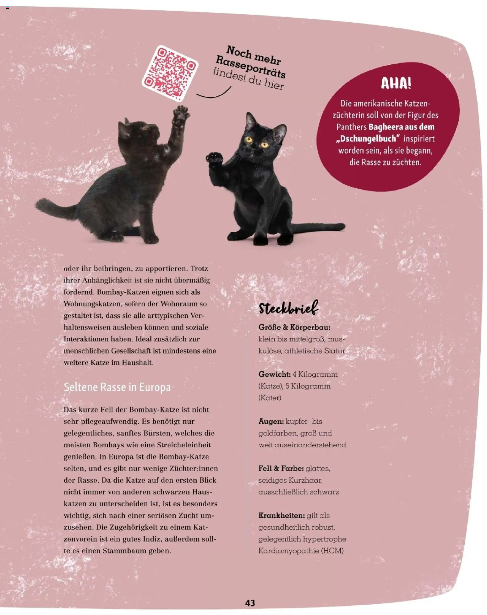 Fressnapf Friends 06/25 gültig ab 01.11.2025 | Seite: 43 | Produkte: Gewicht