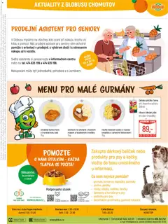 Náhled letáku Globus leták - Chomutov od 28.01.2026 | Strana: 31 | Produkty: Globus, Hračky, Gril, Šampony