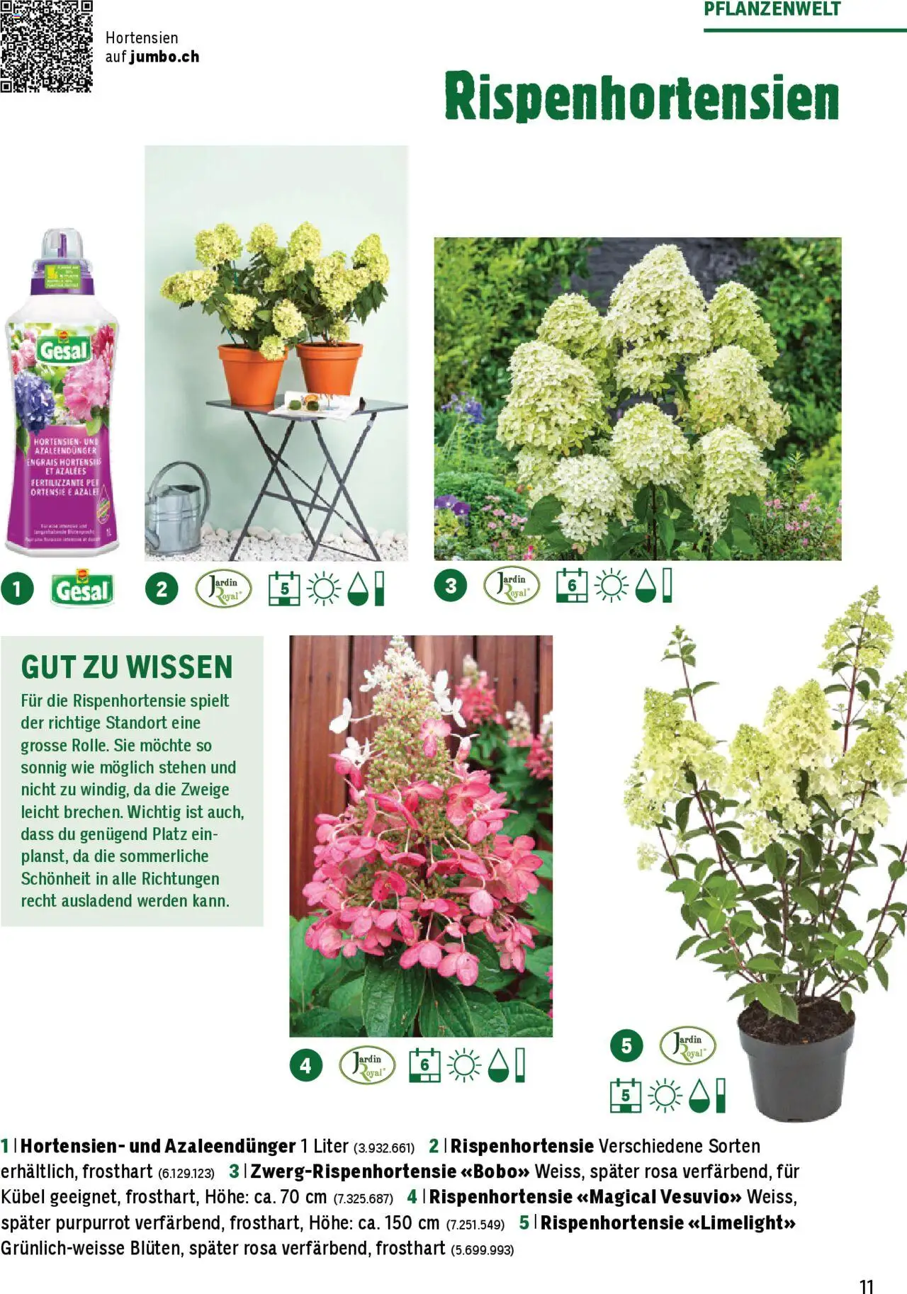 Jumbo Aktionen Dein Garten 2025 ab 21.02.2025 | Seite: 11