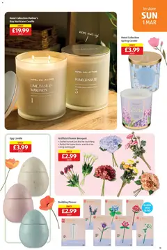 Preview of Aldi - Weekly offers UK Specialbuys valid from 26.02.2026 | Page: 19 | Products: Vase, Basil, Pepper