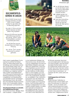 Billa  Frisch Gekocht ab 01.11.2025 gültig | Seite: 93