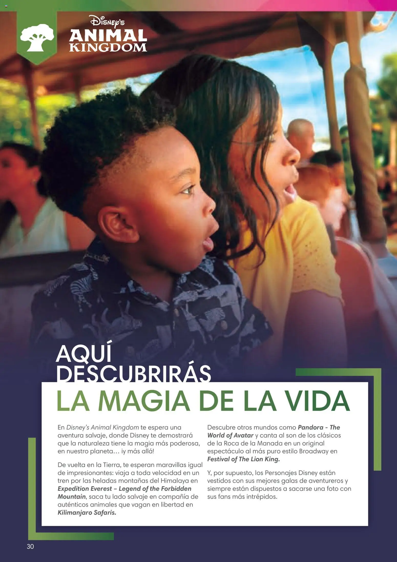 Viajes El Corte Inglés Folleto Walt Disney World │ válido desde el 03.12.2025 | Página: 30 | Productos: Té