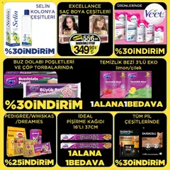 13.03.2026 tarihinden itibaren geçerli olan Sarıyer kataloğu önizlemesi | Sayfa: 33 | Ürünler: Raf, Pil, Çilek, Buzdolabı