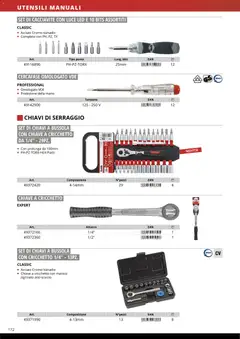 Anteprima del volantino Einhell volantino Accessori  valido a partire dal 17.03.2026 | Pagina: 174 | Prodotti: Cacciavite